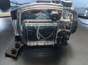 PXL_20210625_181812478.jpg