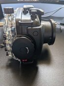 PXL_20210625_181816580.jpg