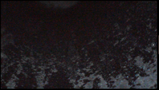 Capture.PNG