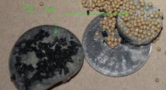 Abused compressor v5 - oily pads.jpg
