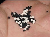 Proper life limit of molecular sieve and activated carbon from an expired catridge.jpg
