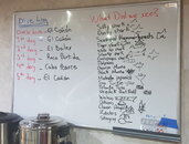 20210603_235525 log.jpg 20210603_235525 log.jpg