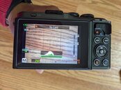 PXL_20210815_204027038.jpg