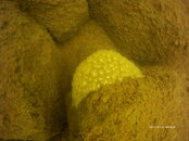 PICT0082.JPG