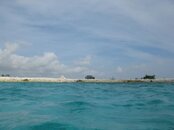 IMG_2914.jpg