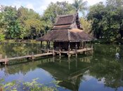 IMG_3319.jpg