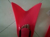 IMG-20111210-01229.jpg