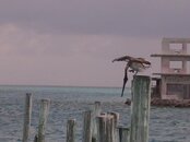 DSCN2653.jpg