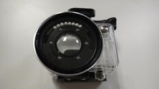 DSC01148.jpg