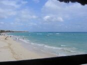 IMG_0005 1.jpg