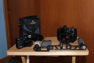 IMG_3920-qpr.jpg