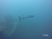 IMG_2532.JPG