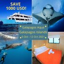 Colorful Photos Plain Collage Instagram Post(25).jpg