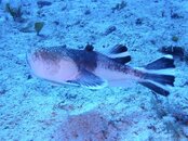 IMG_7069.jpg