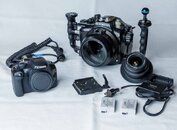 10152021-Nauticam - Canon T2i-BUNNELL-0101-3.jpg