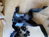 DD97EB7D-FABC-4547-982B-4309A6E0BB10.jpeg