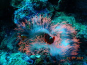 DSCN1051.JPG