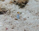 IMG_0035.jpg