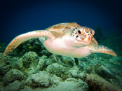 IMG_0153-Edit.jpg