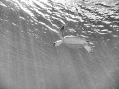 IMG_0195-Edit.jpg