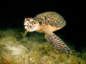 IMG_0442-Edit.jpg