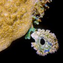 IMG_0948-Edit.jpg