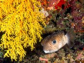 IMG_3407-Edit.jpg