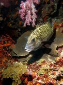 IMG_3425-Edit.jpg
