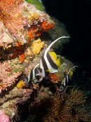 IMG_3568-Edit.jpg