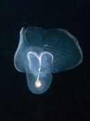IMG_3578-Edit.jpg