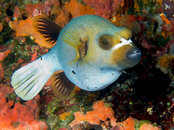IMG_3582-Edit.jpg