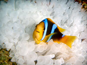 IMG_3649-Edit.jpg