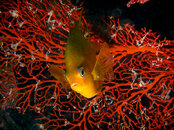 IMG_3835-Edit.jpg