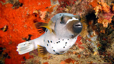 IMG_3865-Edit.jpg