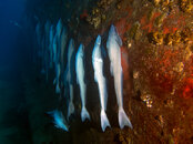 IMG_4194-Edit.jpg