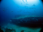 IMG_4209-Edit.jpg
