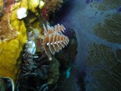 IMG_0186.jpg