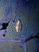 IMG_0071.jpg
