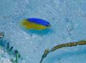 IMG_0077.jpg