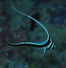 IMG_0015.jpg