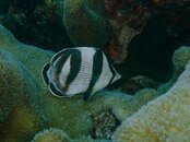 IMG_0063.jpg