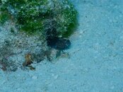 IMG_0062.jpg