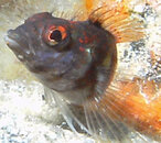 PICT0107_edited-3.jpg