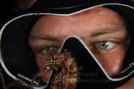 Seahorse-with-JD-M.jpg
