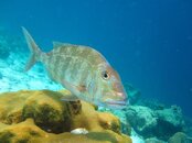 IMG_1200e.jpg