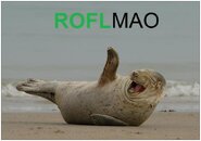 roflmao1.jpg