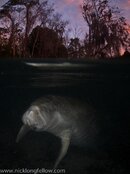 IMG_2650.jpg