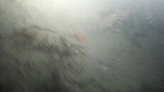 DSC06528.jpg