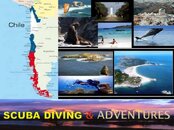 Chile Scuba Diving and Adventures-photo.jpg
