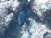 IMG_3146.jpg